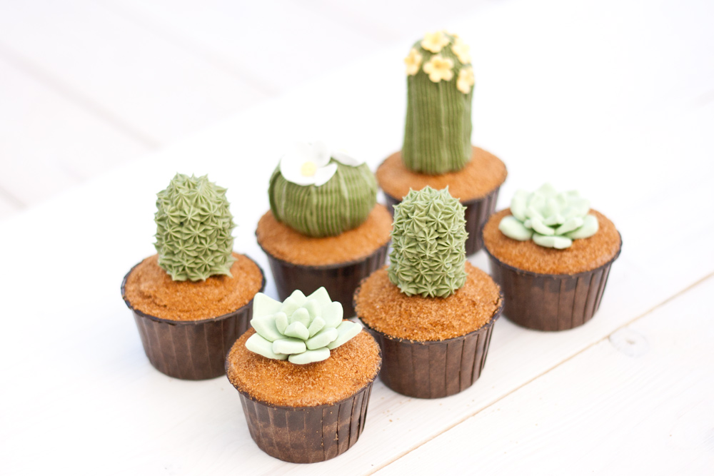 Kaktuscupcakes